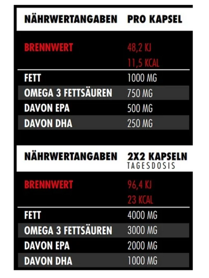 Big Zone Omega 3 Fury Triglyceride 300 Kapseln